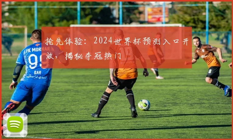 抢先体验：2024世界杯预测入口开放，揭秘夺冠热门