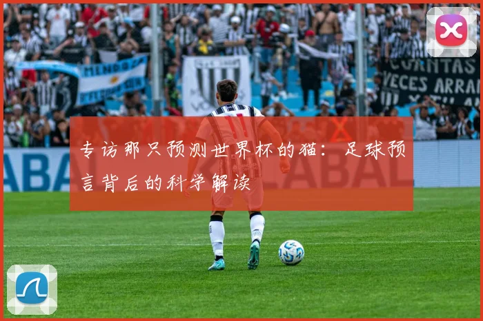 专访那只预测世界杯的猫:足球预言背后的科学解读