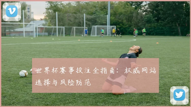世界杯赛事投注全指南：权威网站选择与风险防范