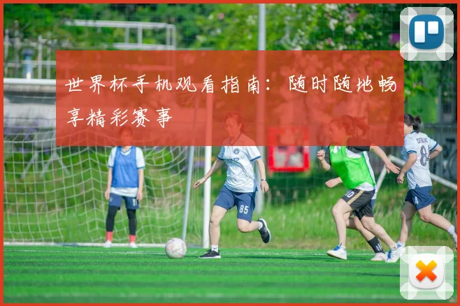 世界杯手机观看指南：随时随地畅享精彩赛事