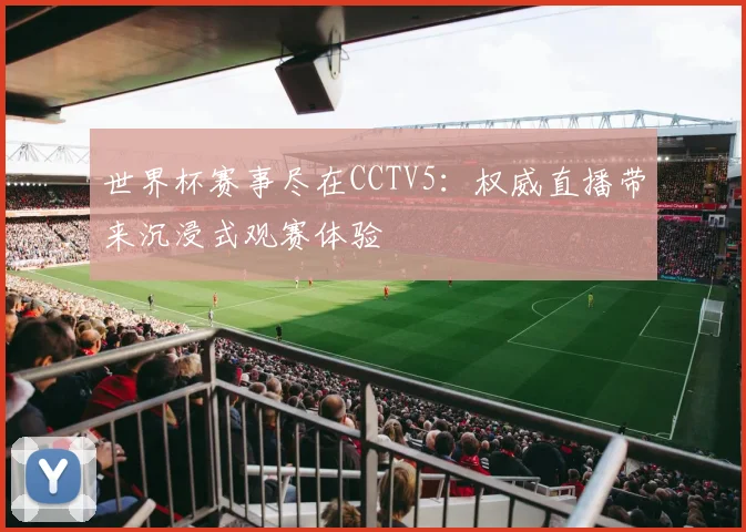 世界杯赛事尽在CCTV5：权威直播带来沉浸式观赛体验