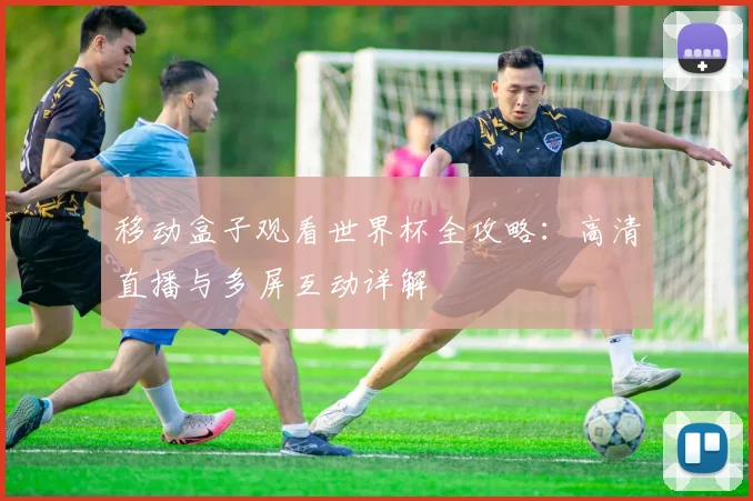 移动盒子观看世界杯全攻略：高清直播与多屏互动详解