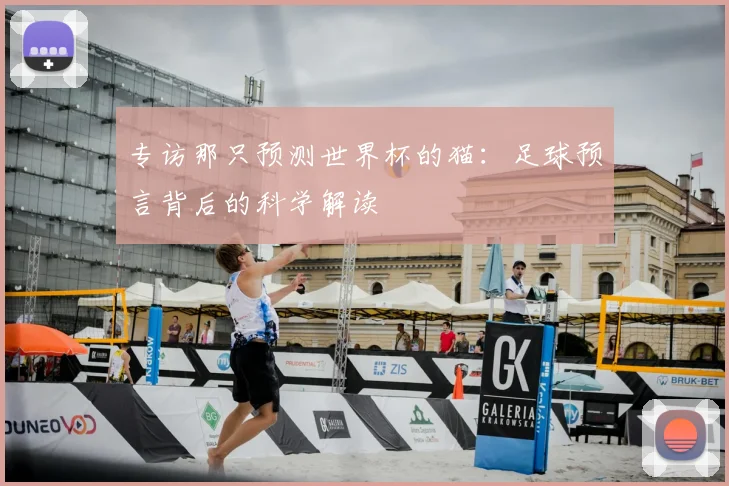 专访那只预测世界杯的猫:足球预言背后的科学解读