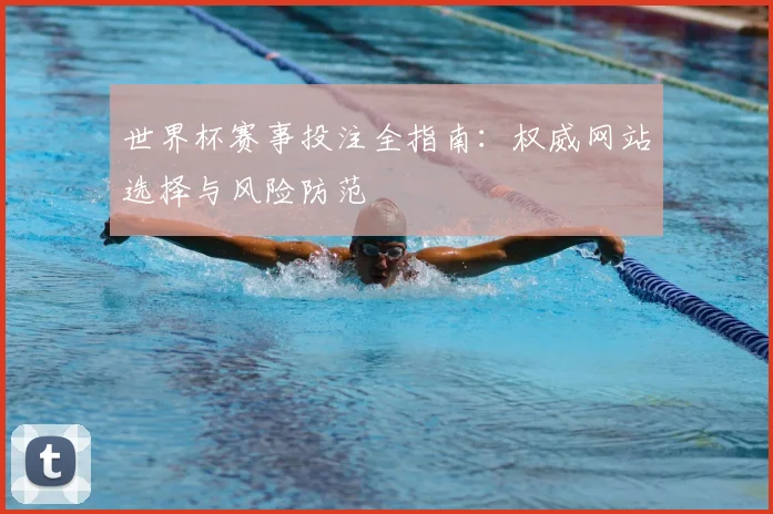 世界杯赛事投注全指南：权威网站选择与风险防范