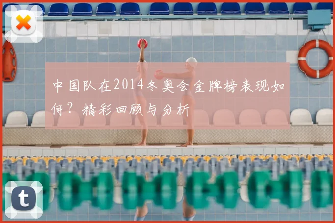 中国队在2014冬奥会金牌榜表现如何？精彩回顾与分析